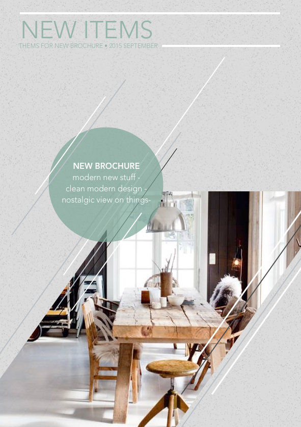 Brochure 021