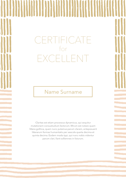 Certificate 028