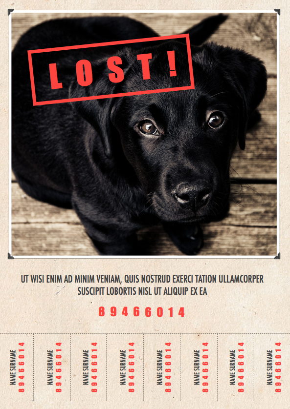Flyer 017