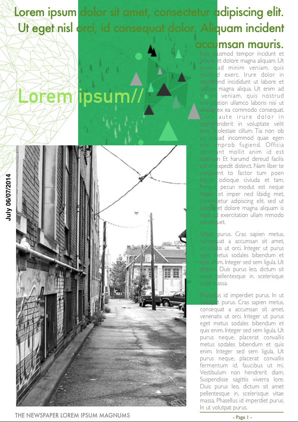 Newsletter 011