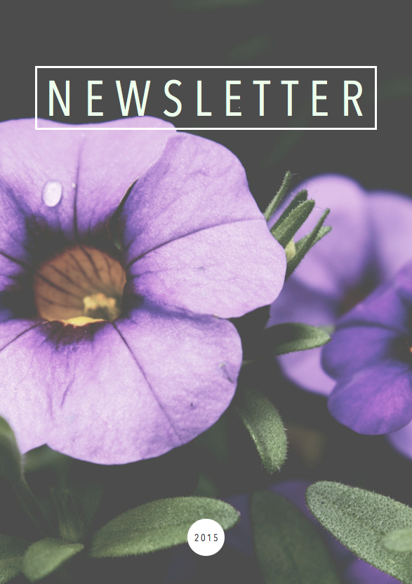 Newsletter 016