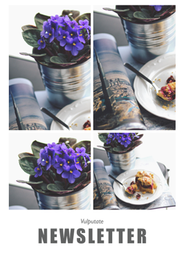 Newsletter 034