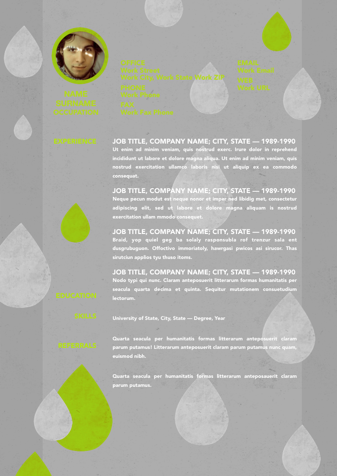 Resume 011