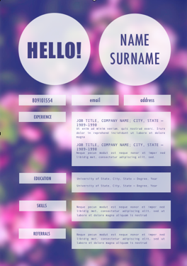 Resume 041