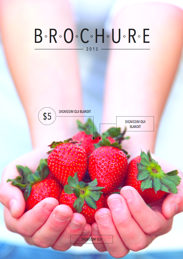Brochure 027