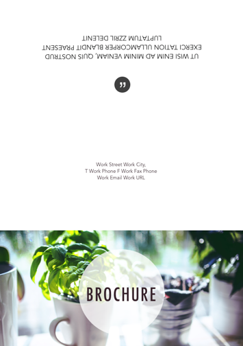 Brochure 045