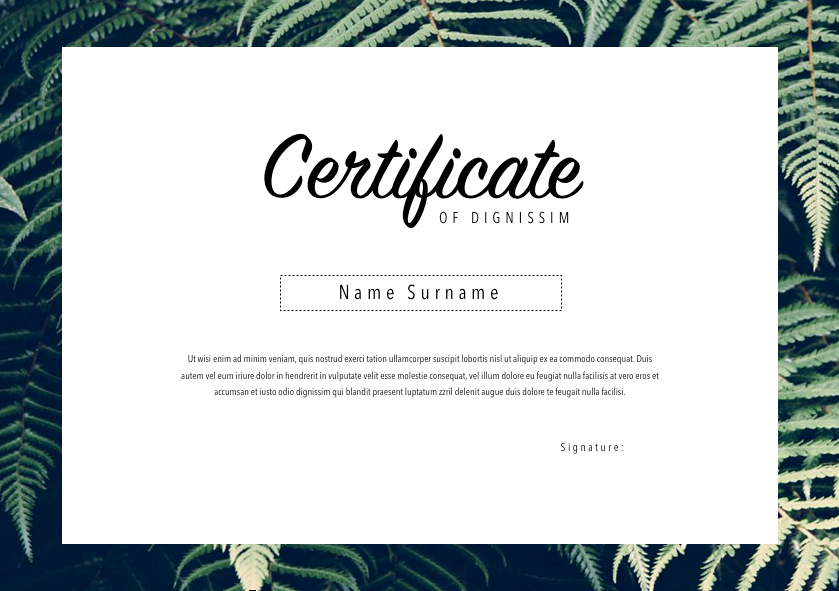 Certificate 026