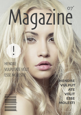 Magazine 008