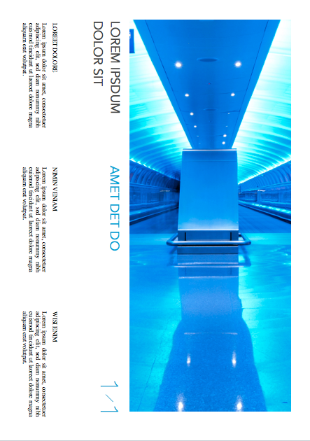 Newsletter 005