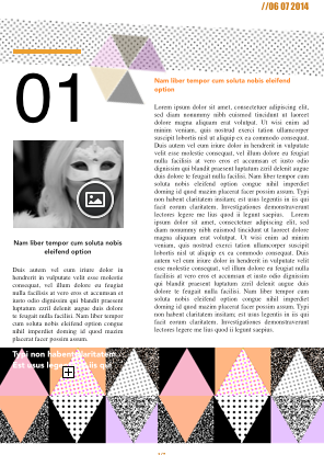 Newsletter 012