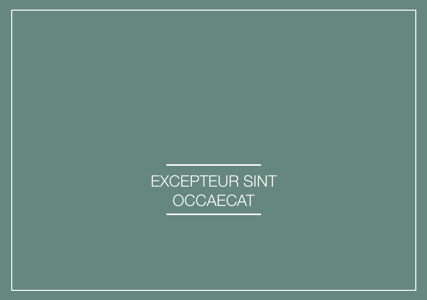 Newsletter 027