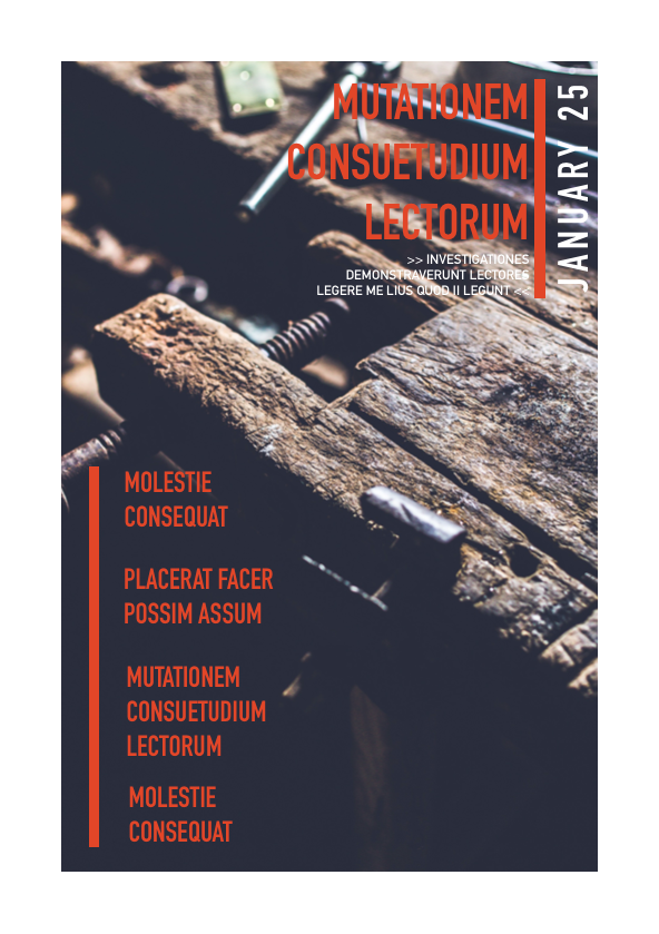 Newsletter 029