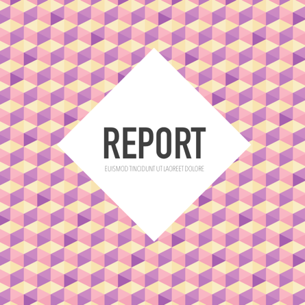 Report 038