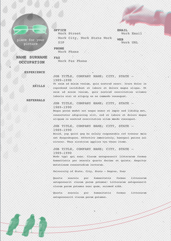 Resume 007