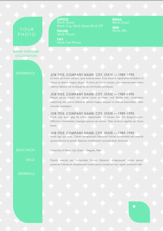 Resume 008