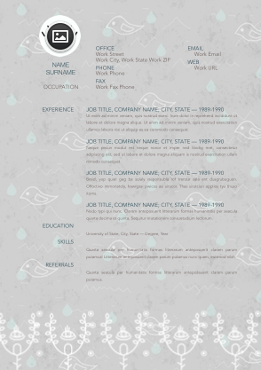 Resume 012