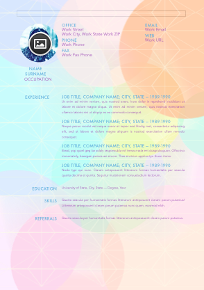 Resume 013
