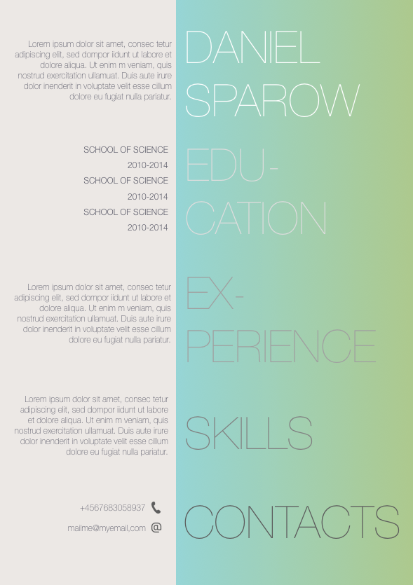 Resume 024