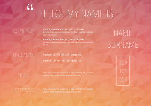 Resume 038