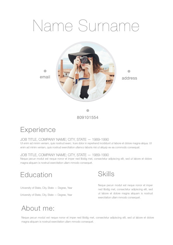 Resume 043